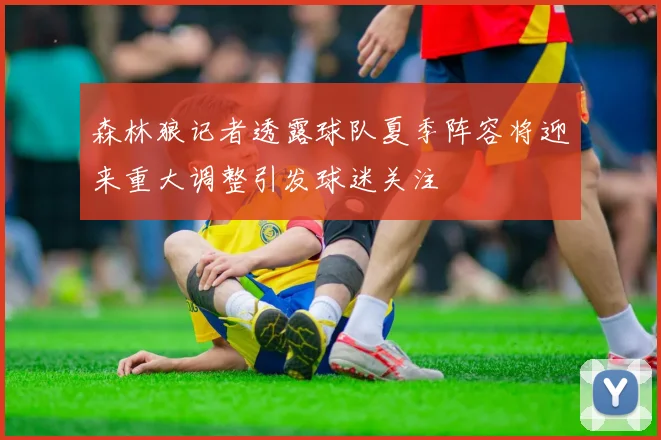 森林狼记者透露球队夏季阵容将迎来重大调整引发球迷关注